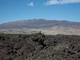 Big Island 060